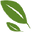 Buy Kagoshima Tea Online logo