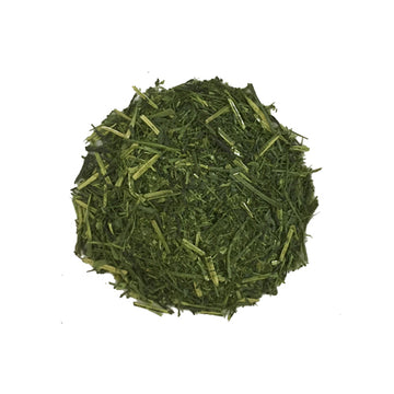 Light Steamed Sencha Yabukita Green Tea, Loose Leaf (AsamushiCha)